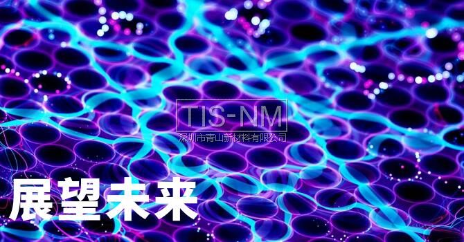 納米技術(shù)未來(lái) 納米技術(shù)未來(lái)
