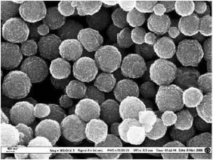 磁性納米顆粒 磁性納米顆粒