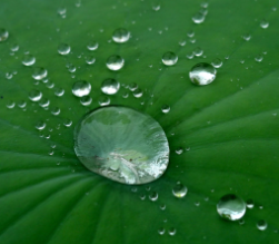 20160706130118571.png 15689.png