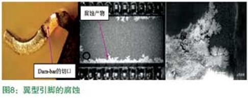 翼型引腳的腐蝕 翼型引腳的腐蝕