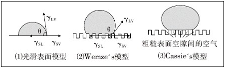 固體表面潤濕模型 固體表面潤濕模型