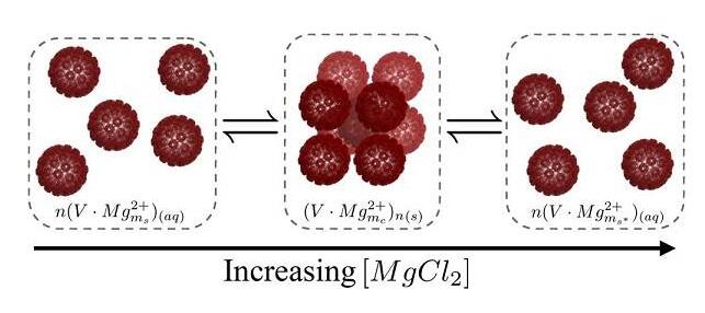 病毒納米顆粒的結晶、重入熔化和再增溶 病毒納米顆粒的結晶、重入熔化和再增溶