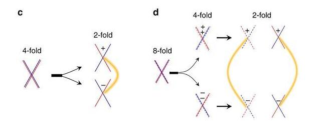 II型Weyl半金屬WP2和MoP2中的極高的磁電阻和電導率 II型Weyl半金屬WP2和MoP2中的極高的磁電阻和電導率