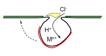 孔內金屬離子濃度增加 孔內金屬離子濃度增加