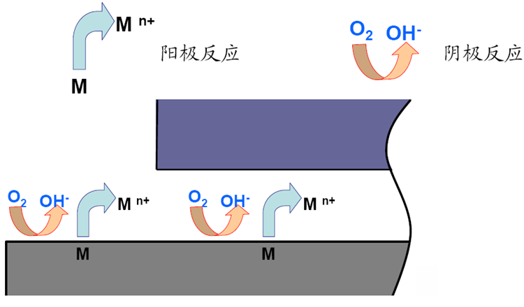 陽極和陰極反應 陽極和陰極反應