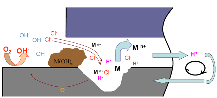 形成閉塞電池內的自催化溶解過程 形成閉塞電池內的自催化溶解過程