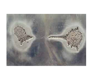 空泡腐蝕(空蝕和氣蝕) 空泡腐蝕(空蝕和氣蝕)