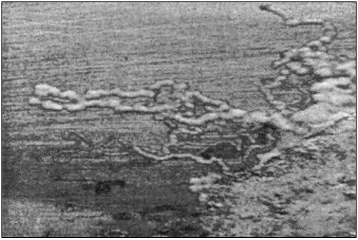 鎂合金的絲狀腐蝕 鎂合金的絲狀腐蝕