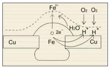 20180712143100300.jpg jsfs4.jpg