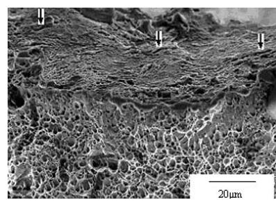 高溫腐蝕 高溫腐蝕