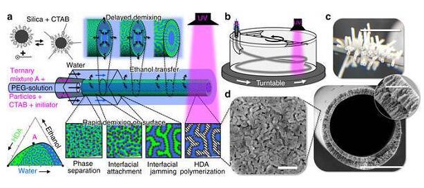 多功能納米復合中空纖維膜的溶劑轉移誘導相分離