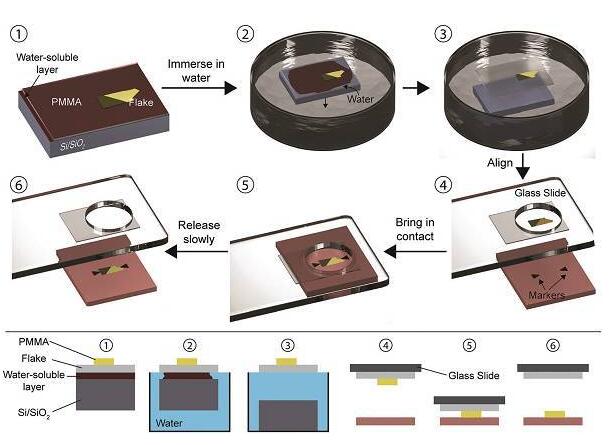 在納米器件和范德華異質結構組裝中的最新進展