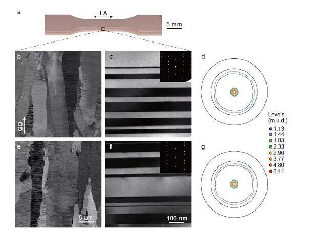 與疲勞歷史無關的納米孿晶金屬循環響應