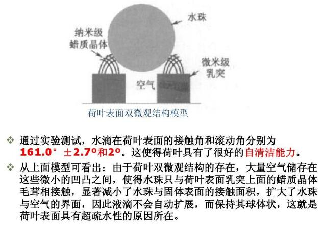 20180824165145321.jpg 10.jpg